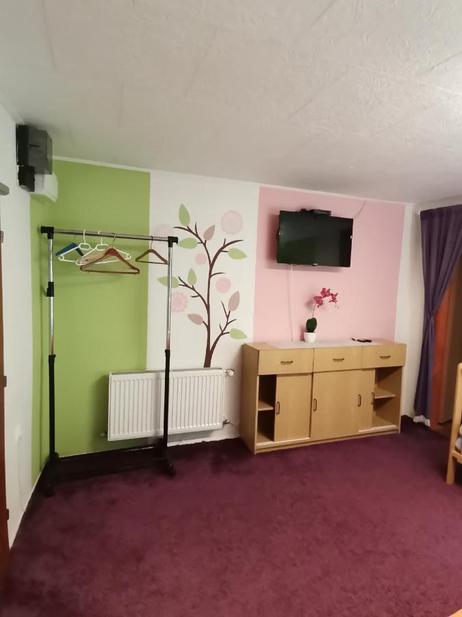 Apartman Ve Mlejne Nová Bystřice Exterior foto