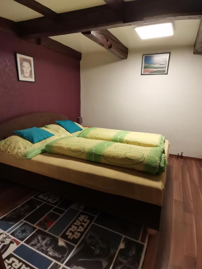 Apartman Ve Mlejne Nová Bystřice Exterior foto