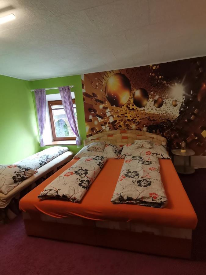 Apartman Ve Mlejne Nová Bystřice Exterior foto